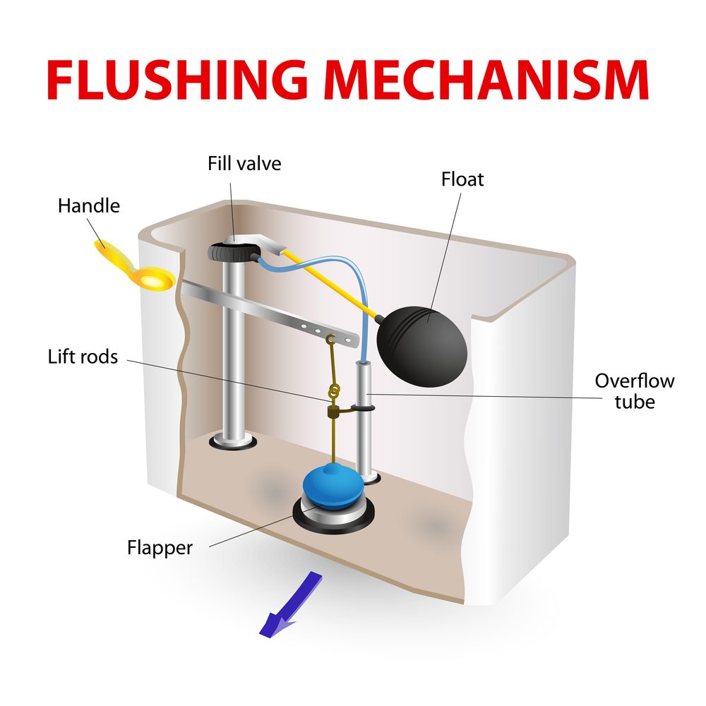 flushing mechanism