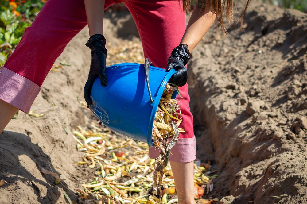 Young woman pouring organic waste into a compost pit from a plastic bucket. Household food waste. Fruit and vegetables losses. Reusing leftover food