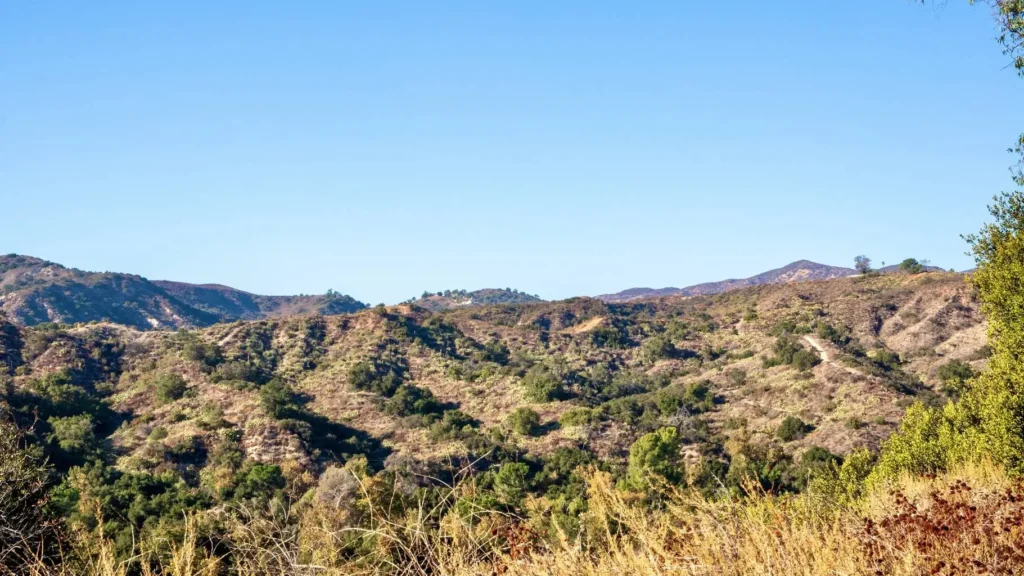 plumber in trabuco canyon